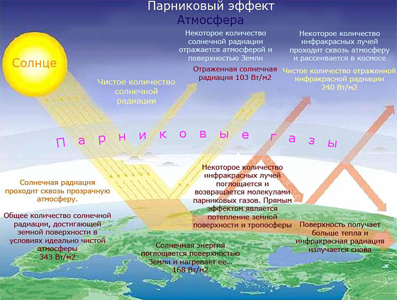 паников ефект